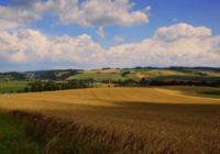 Agrofert nevyrábí přípravek na hubení hrabošů Stutox II