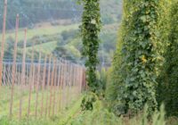 Odmítáme účelové spojování investic AGROFERTu s plánovanými přehradami